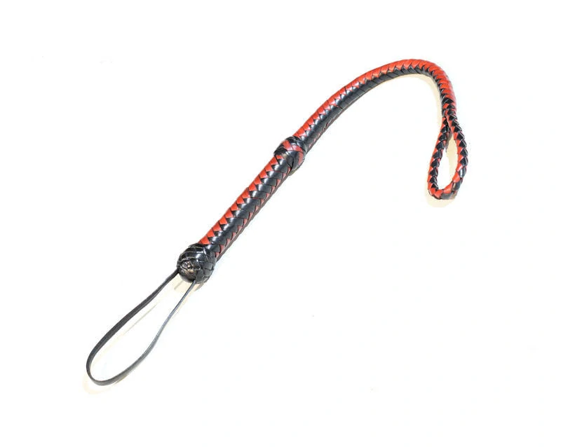 DS60 důtky smyčka 60 cm