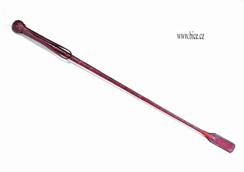 JB1 jezdecký bičík typ 1